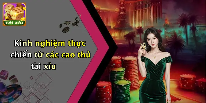 Kinh nghiệm thực chiến từ các cao thủ tài xỉu