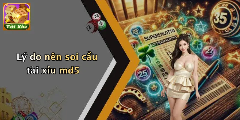 Cách Soi Cầu Tài Xỉu MD5: Phân Tích & Chiến Lược Tối Ưu 2 Lý do nên soi cầu tài xỉu md5