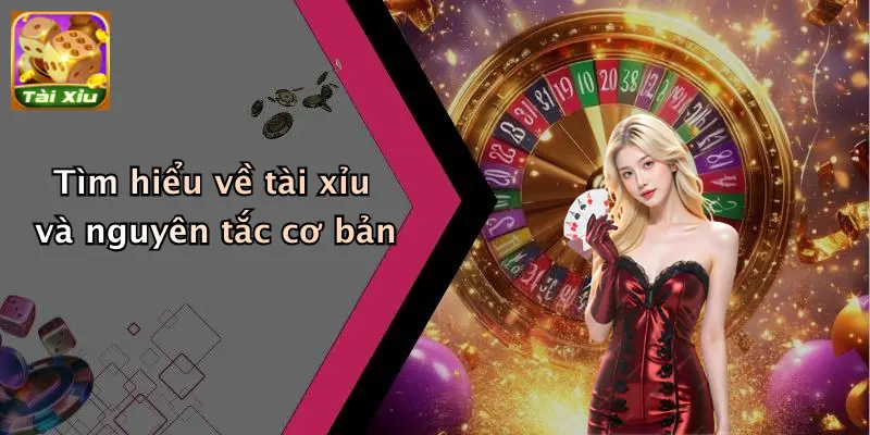 Tìm hiểu về tài xỉu và nguyên tắc cơ bản