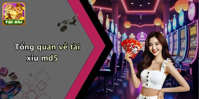 Cách Soi Cầu Tài Xỉu MD5: Phân Tích & Chiến Lược Tối Ưu 1 Tổng quan về tài xỉu md5