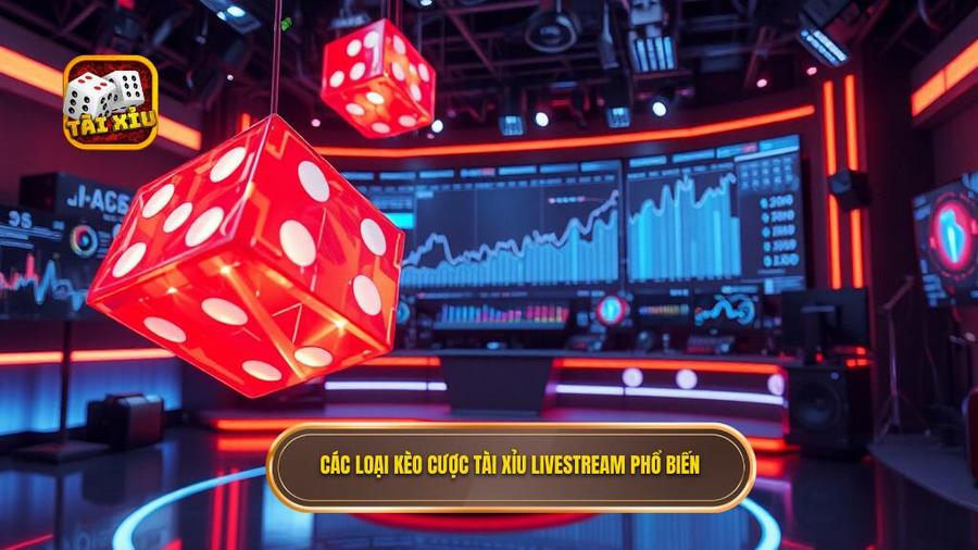 Phân tích các loại kèo cược phổ biến trong tài xỉu livestream